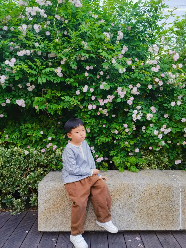 南京賞花｜逛玄武湖公園 這個免費薔薇花牆拍照點請收好