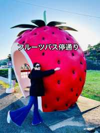 🍓長崎/フルーツバス停通り🍈