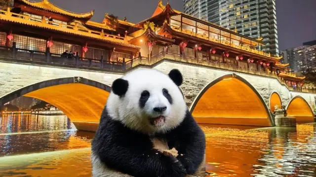 Chengdu Can Be Played Like This!!!