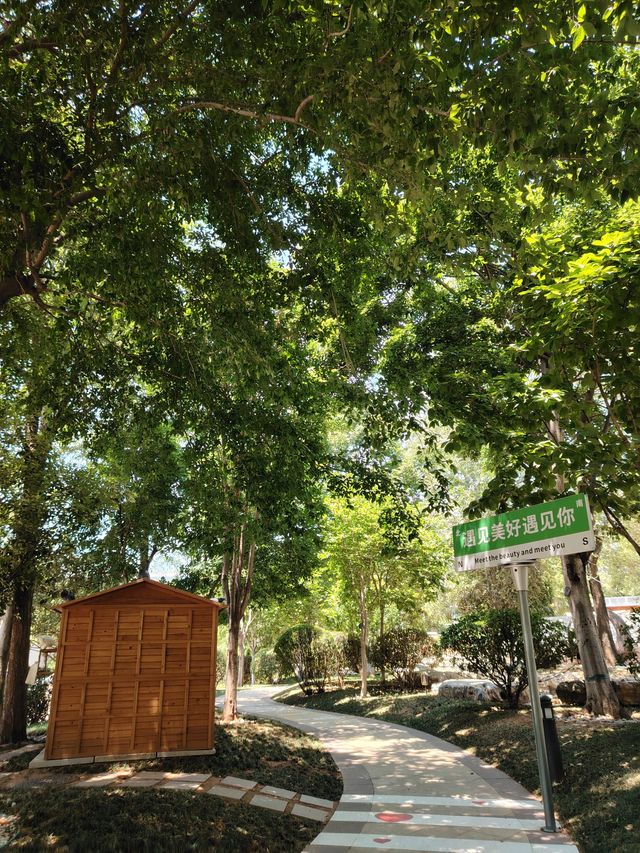 莫奈花園，拍照聖地！！