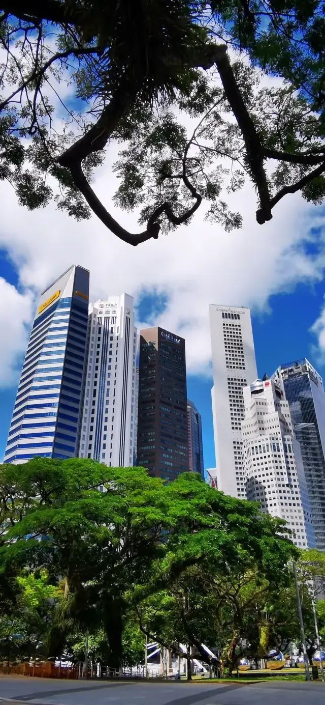 【新加坡】獅城街頭隨拍