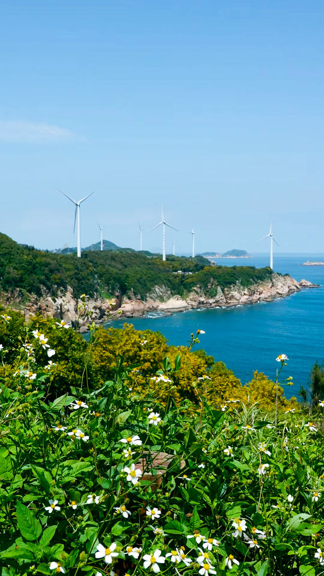 在連江古石村，和老媽走進了宮崎駿的夏天