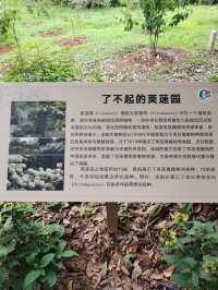 在成都！！鮮花織就的小徑