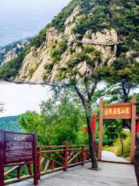 快看！沂蒙山旅遊景區這令人咋舌的一面！