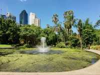 Beautiful City Botanic Gardens Brisbane 🌺🌳