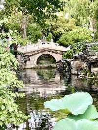Citywalk 朴野自然 風景優美 西海濕地公園
