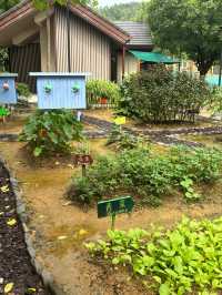 清遠新世界酒店。