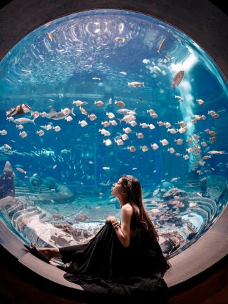 Lost Water World~A childhood mermaid dream❤️🥰