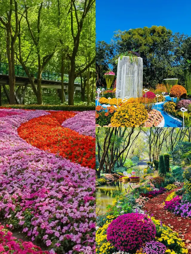 Free Monet Garden, go to nature to see the sea of flowers.