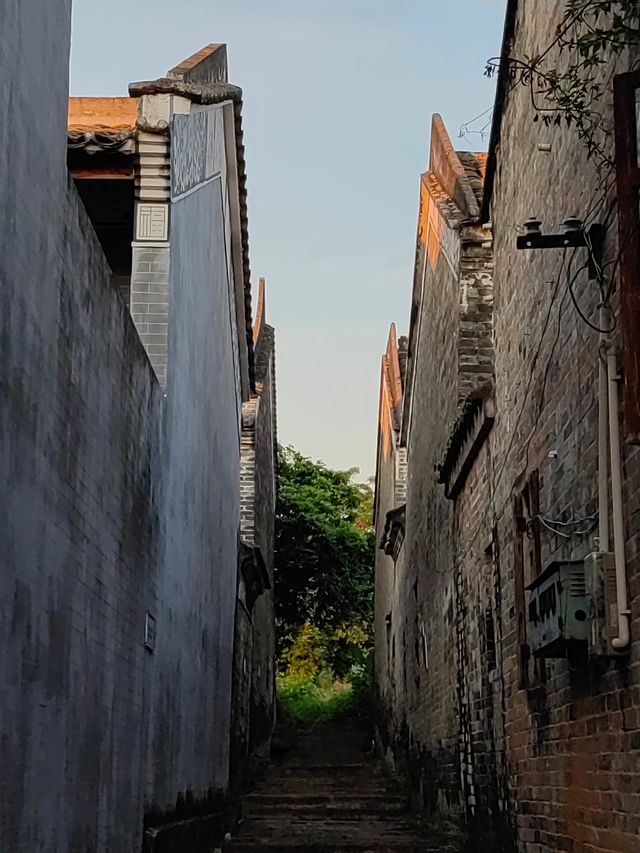 廣西平南中團古村。