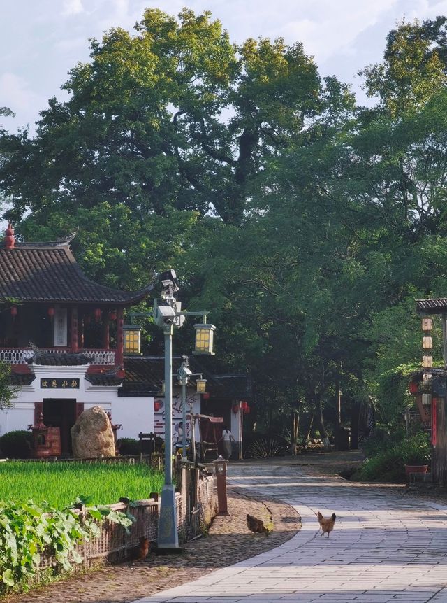 這個800年冷門原始古村，真的很適合隱居。。