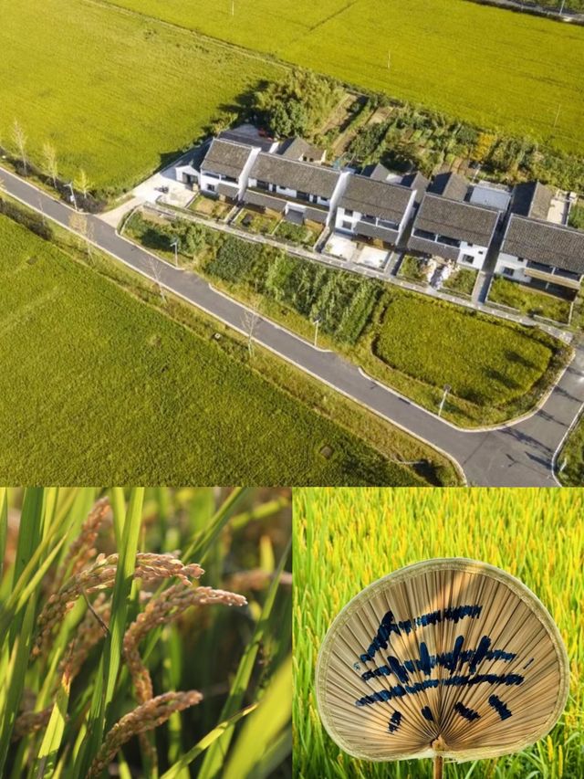 青普這廂·芳華李窯|李窯村嚮往的生活！。