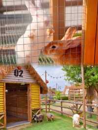 【邂逅橘若，遇見海的浪漫 | 橘若行館（崇武古渡碼頭）】。