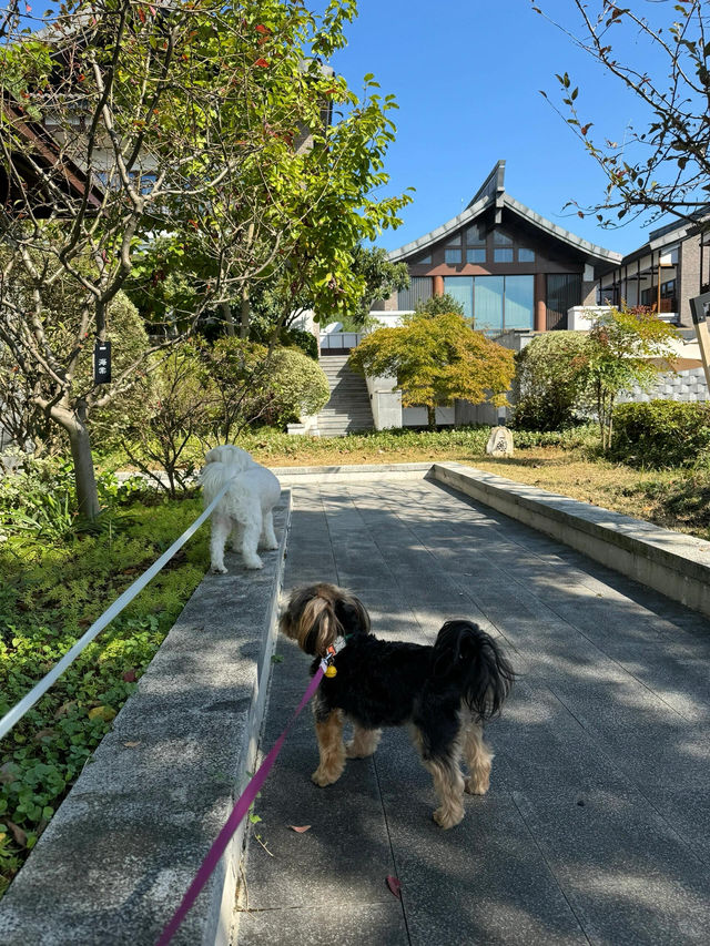 天目湖 WEI 酒店。