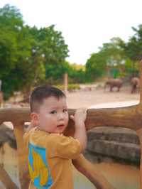 重慶自己的野生動物園您確定不帶孩子來玩嗎？。