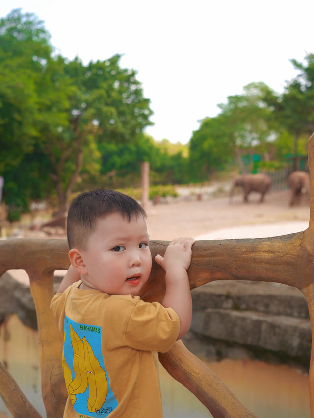 重慶自己的野生動物園您確定不帶孩子來玩嗎？。