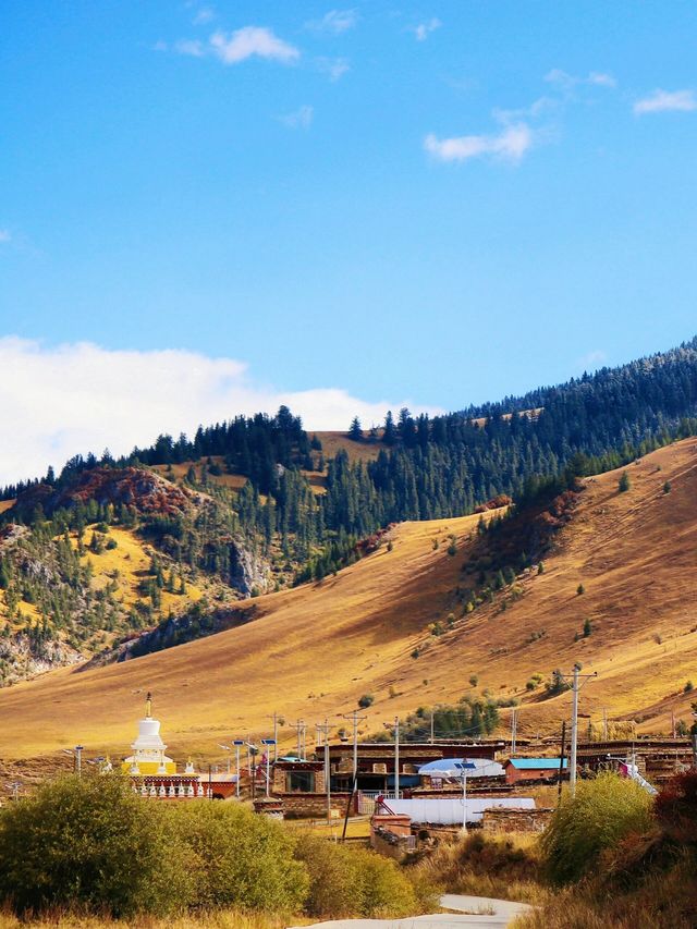 走,帶你進入宮崎駿的漫畫世界。。 走,帶你進入宮崎駿的漫畫世界。。