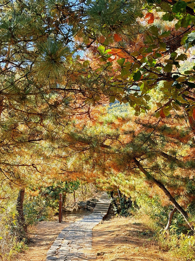 北京銀山塔林。