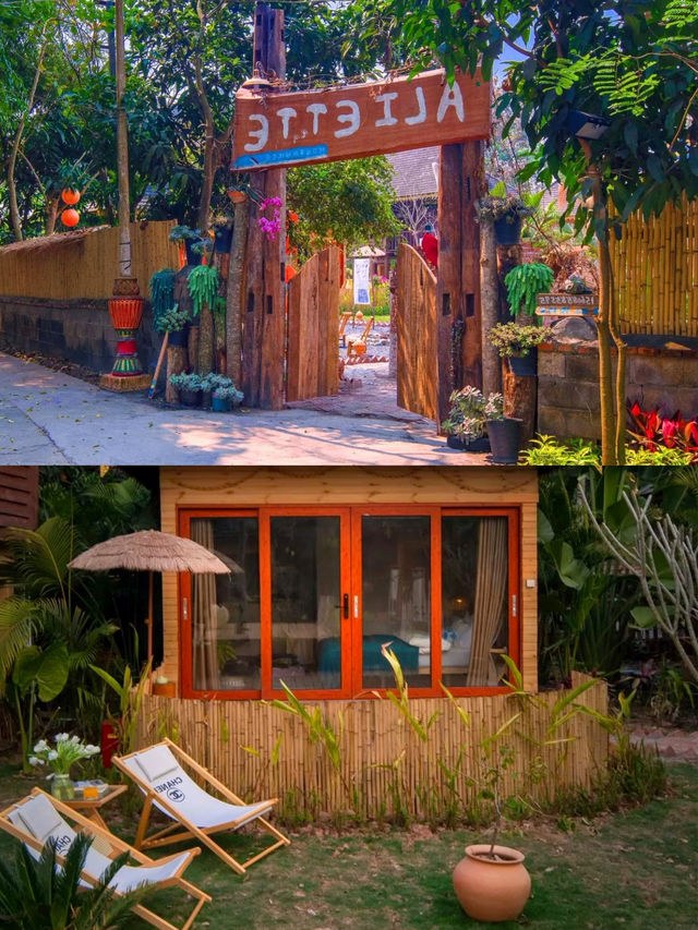 西雙版納 | 景洪青書·阿莉埃蒂雨林秘境花園奇幻之旅。 西雙版納 | 景洪青書·阿莉埃蒂雨林秘境花園奇幻之旅。