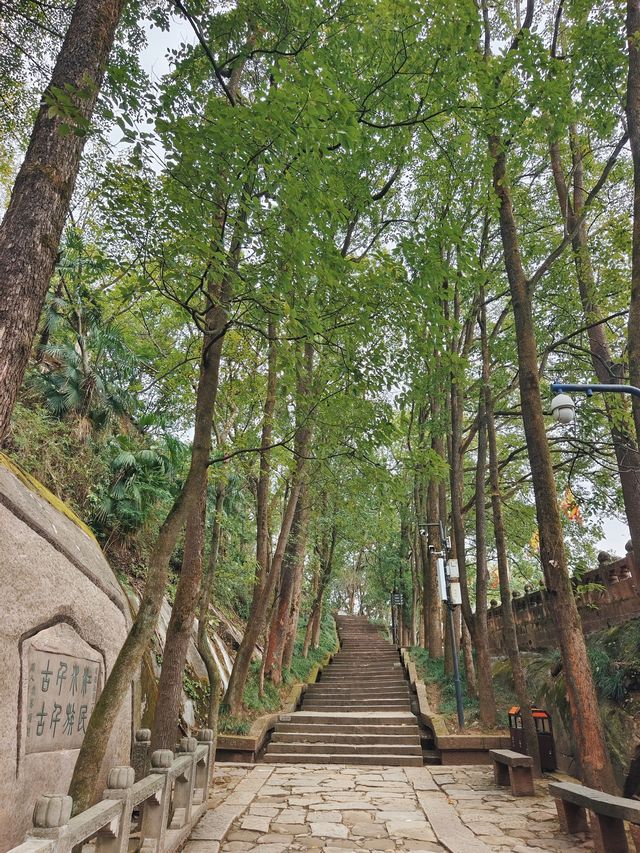 重慶很小眾卻很「大牌」的景區。