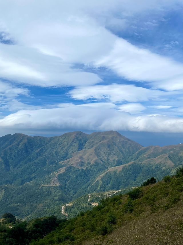 放棄武功山了，廣東這個高山大草甸太絕了。