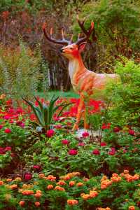 又到了醉白池最美的季節。