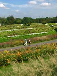 不是共青，另一個「莫奈花園」來襲！。