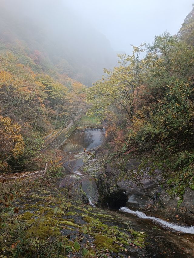 祥峪森林公園。