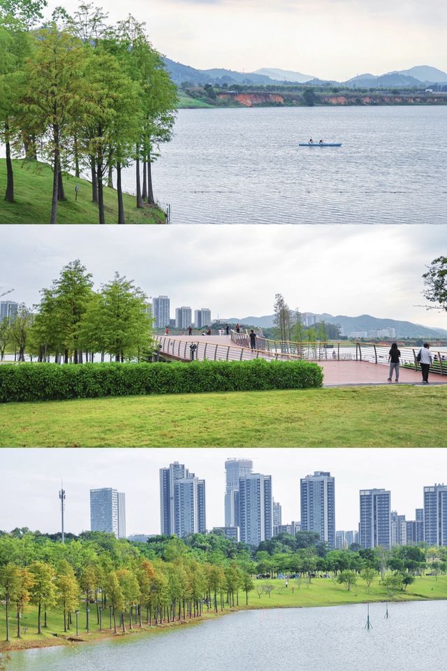 地鐵直達的免費超大草坪露營騎行。