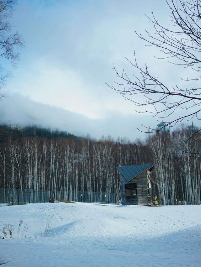 別再說北海道玩膩了，道東玩法超多！。