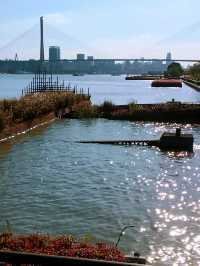 楊樹浦電廠遺址公園—拍不完的大片。