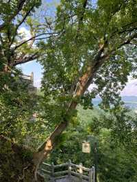 湘潭昭山烏石風景區。