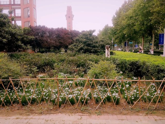 Mesmerising Park of Zhengzhou University
