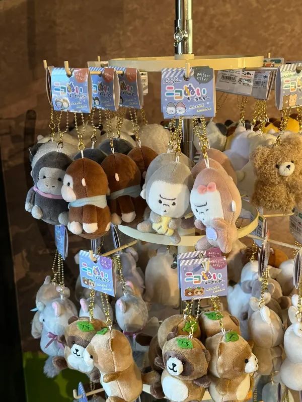 Nagoya | Visit Capybaras, but Management Says They're Gone
