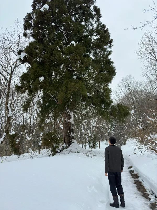Discovering the Hidden Hot Springs of Akita's Nyuto Onsen Village in Japan