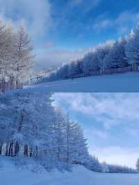 張家口崇禮滑雪攻略‖打卡避坑指南。