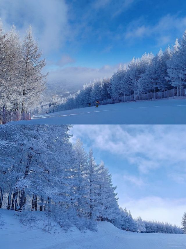 張家口崇禮滑雪攻略‖打卡避坑指南。