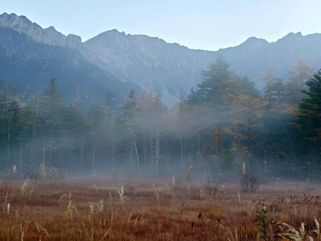 【日本旅行必去】富士山全攻略：從日出到星空，探索日本的靈魂。