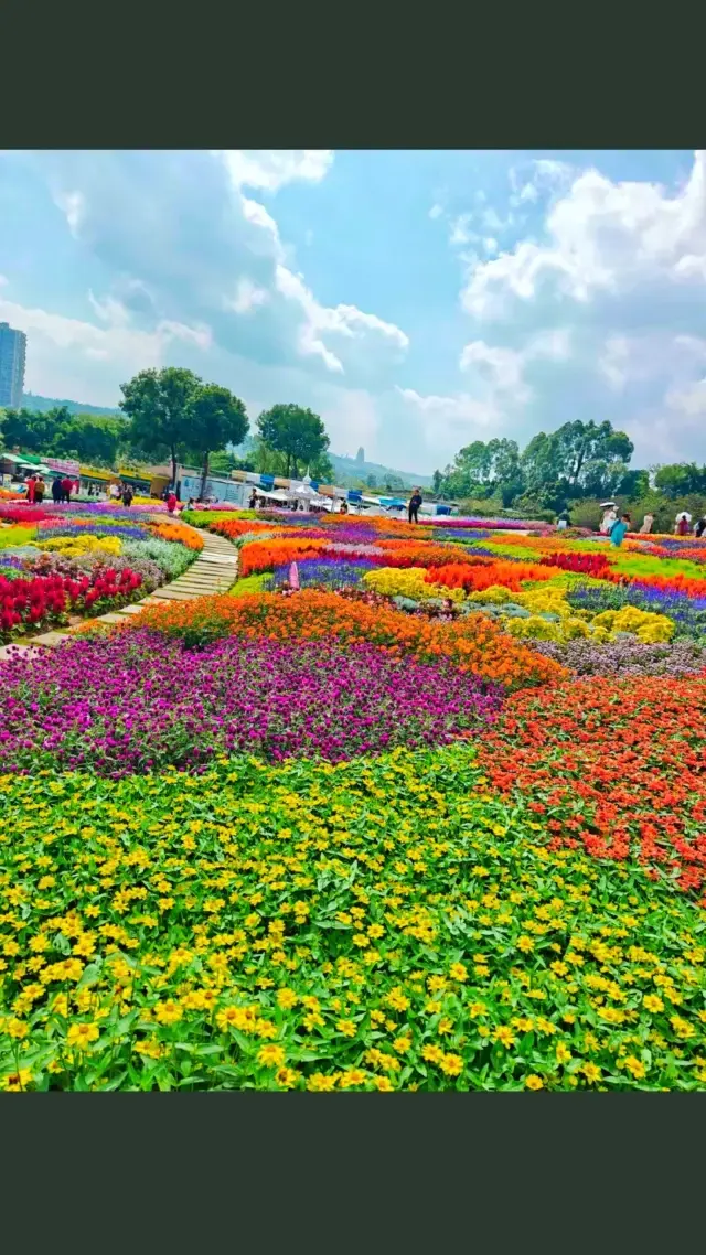 Chengdu's beautiful flower garden.