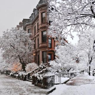 눈 내리는 보스턴, 신비로울 정도로 아름답습니다!