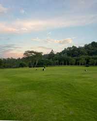 大運自然公園|我要曝光這個寶藏公園