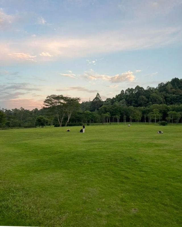 大運自然公園|我要曝光這個寶藏公園