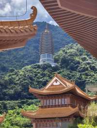 「一日遊指南」深圳仙湖植物園&弘法寺攻略🌿