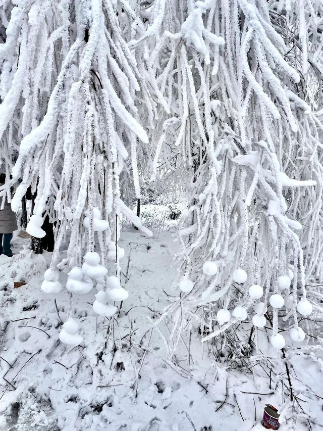 秦嶺雪國專列：邂逅冬日奇境的夢幻車票