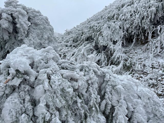 廣東清遠．雲冰山 | 屬於廣東的冰雪世界