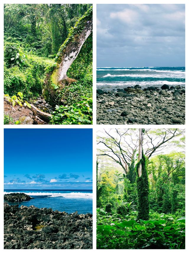 夏威夷可愛島，風光無限好的度假勝地