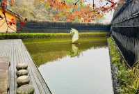 游走600年古村落裡的避世桃源：不舍·野馬嶺