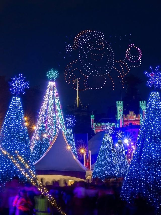 Christmas Spirit at Sydney's Markets