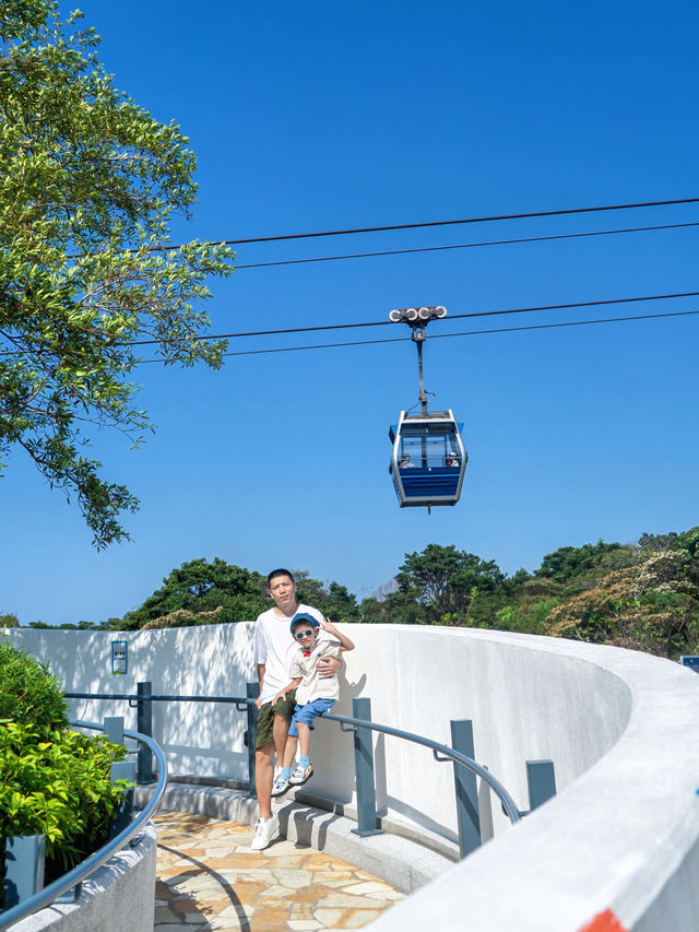 人生建議，帶孩子一定要坐一次海上纜車