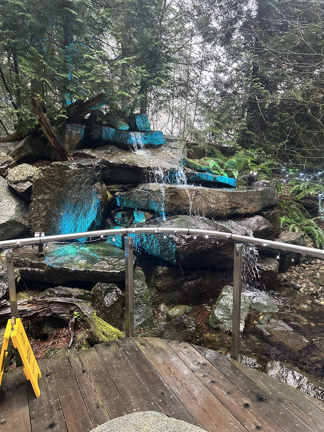 Experience the Thrill of Capilano Suspension Bridge Park